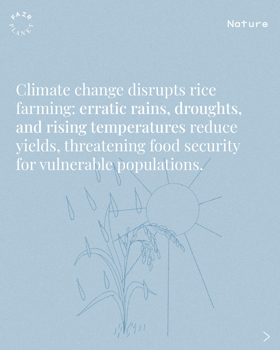 FairPlanet tweet media