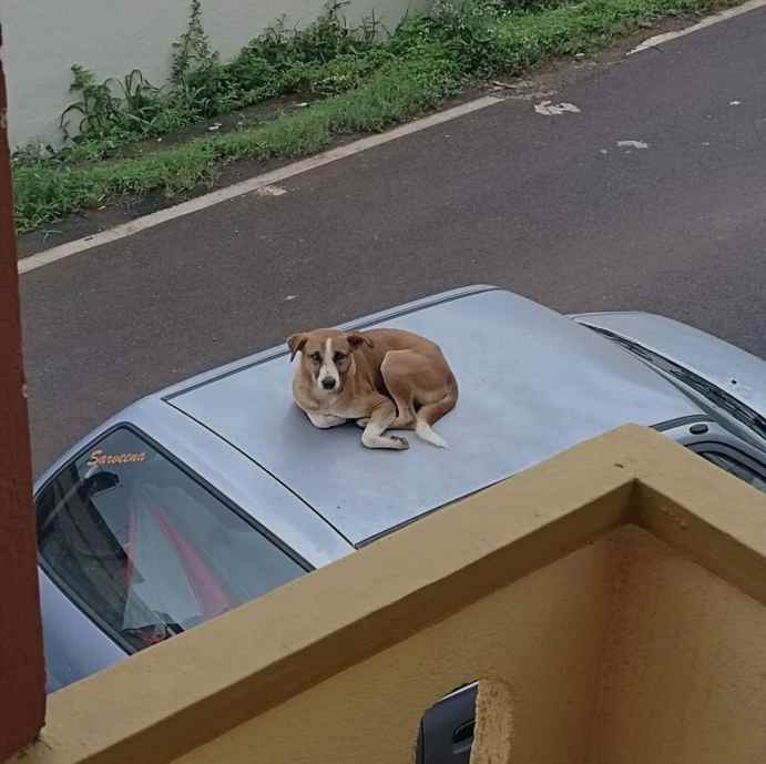 Chillin' like Canal KassXD!