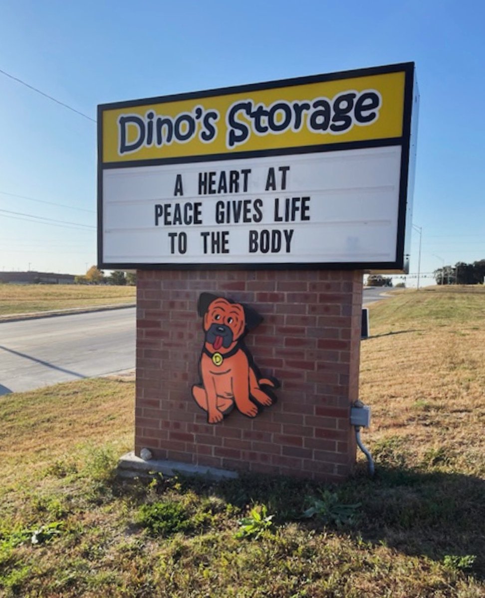 DinosStorage's tweet photo. Proverbs 14:30 ✝️

A heart at peace gives life to the body, but envy rots the bones https://t.co/aIneJmqg3u