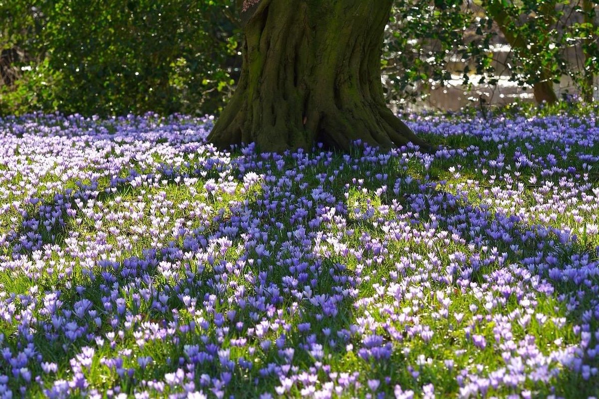 dearlybeloves's tweet image. oh, i wanna lay here