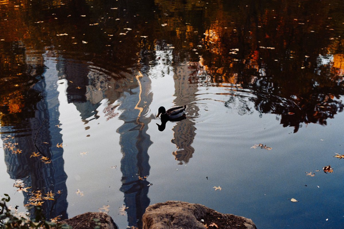westcotttt's tweet photo. New York on Film https://t.co/eadDPxdiyb
