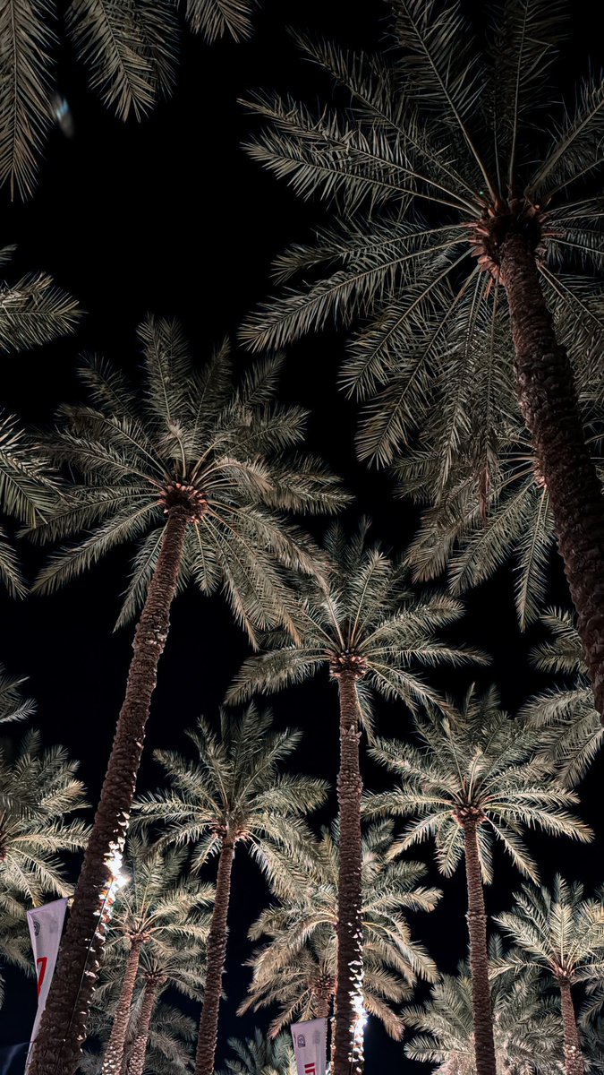 القهوة بين النخيل 

#مزرعة_السليم