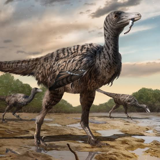 Wonder__Facts's tweet photo. Scientists believe that some dinosaurs had feathers! Fossils show that species like Velociraptor likely had feathers, suggesting they may have looked more bird-like than we originally thought. https://t.co/S8U1ChVegk