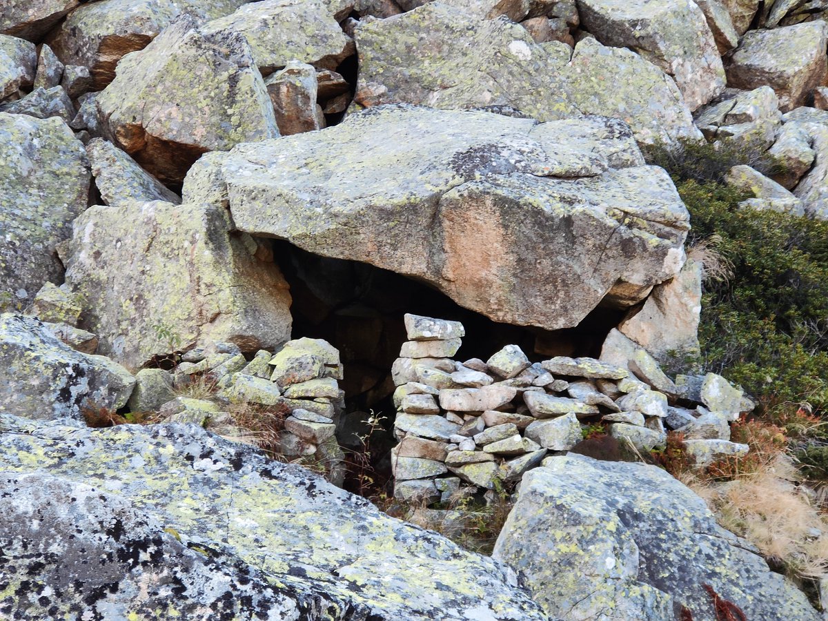 Projets Time Machine tweet media