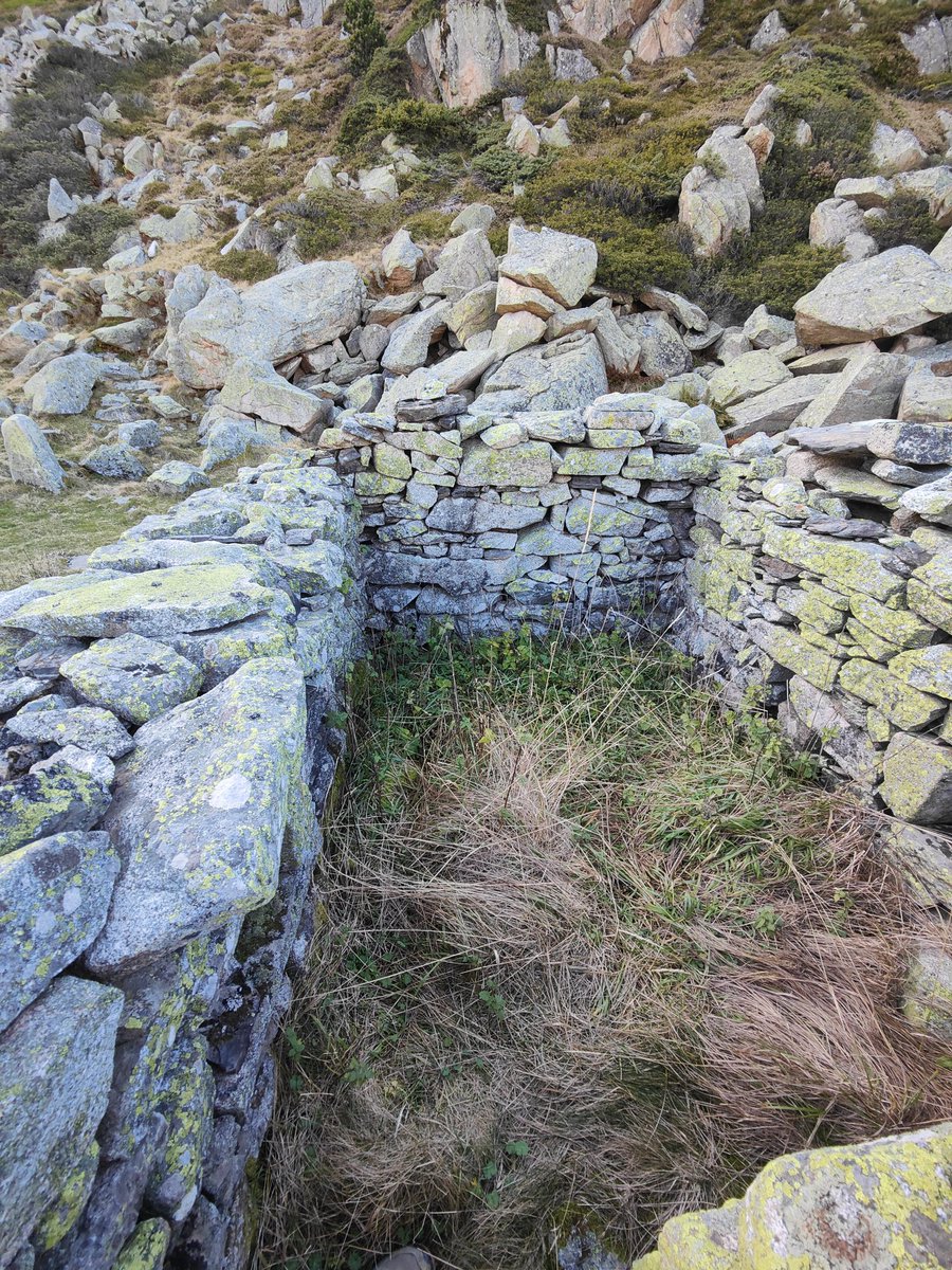 Projets Time Machine tweet media