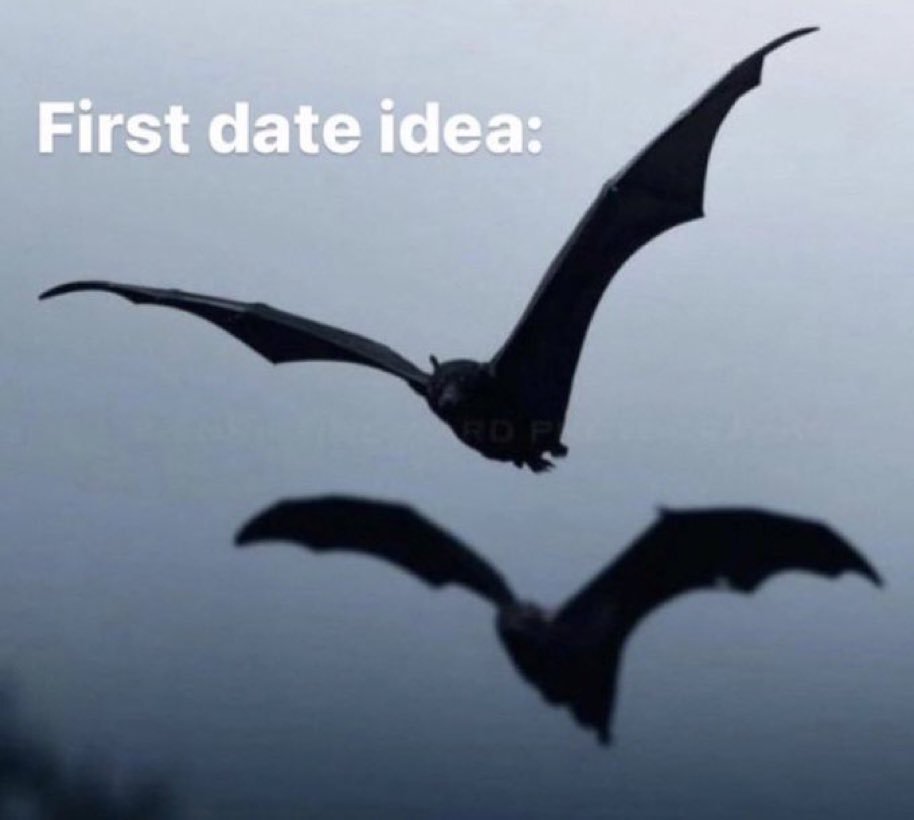 liz 🫀𖥔 ݁ ˖⊹˚ tweet media