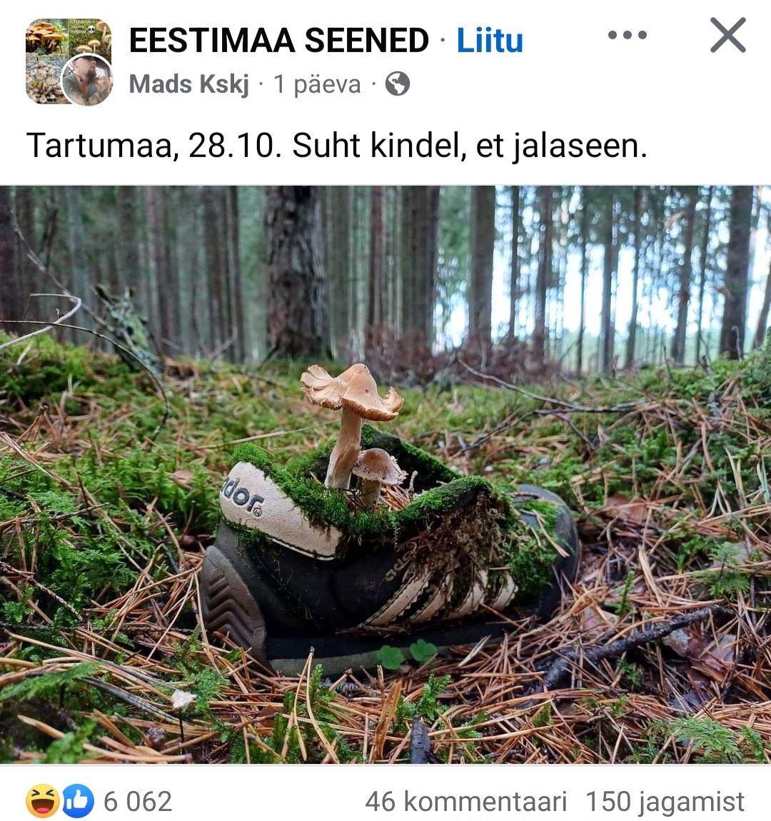 Seenegrupp ei valmista pettumust