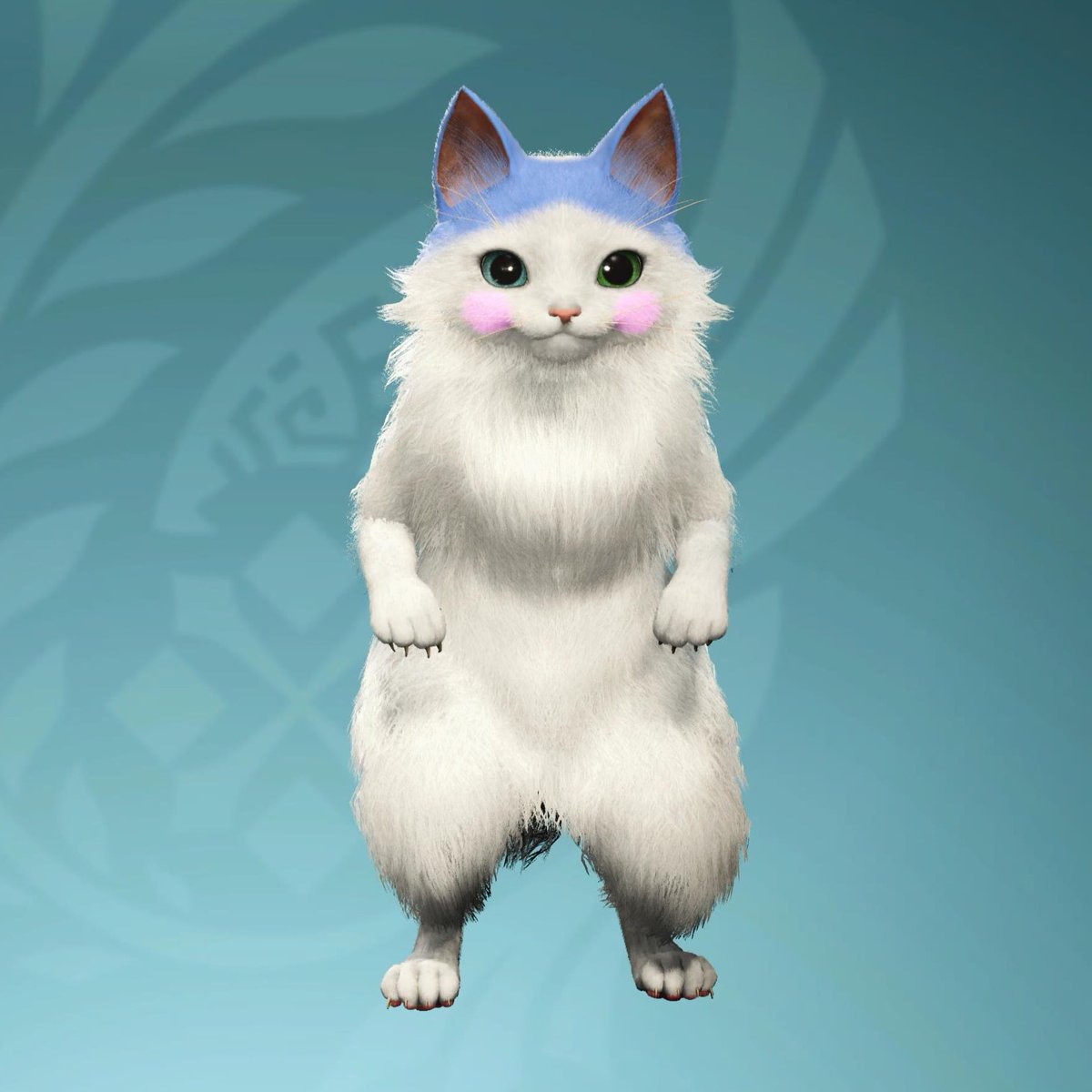 ハチワレシッポ 61fzfeLzVHL.jpg_BO30,255,255,