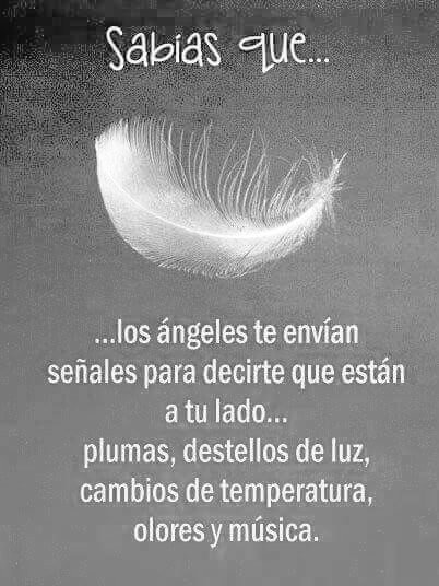 Sabías que🖤
