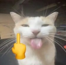 Herdian (@scxvvii) on Twitter photo 