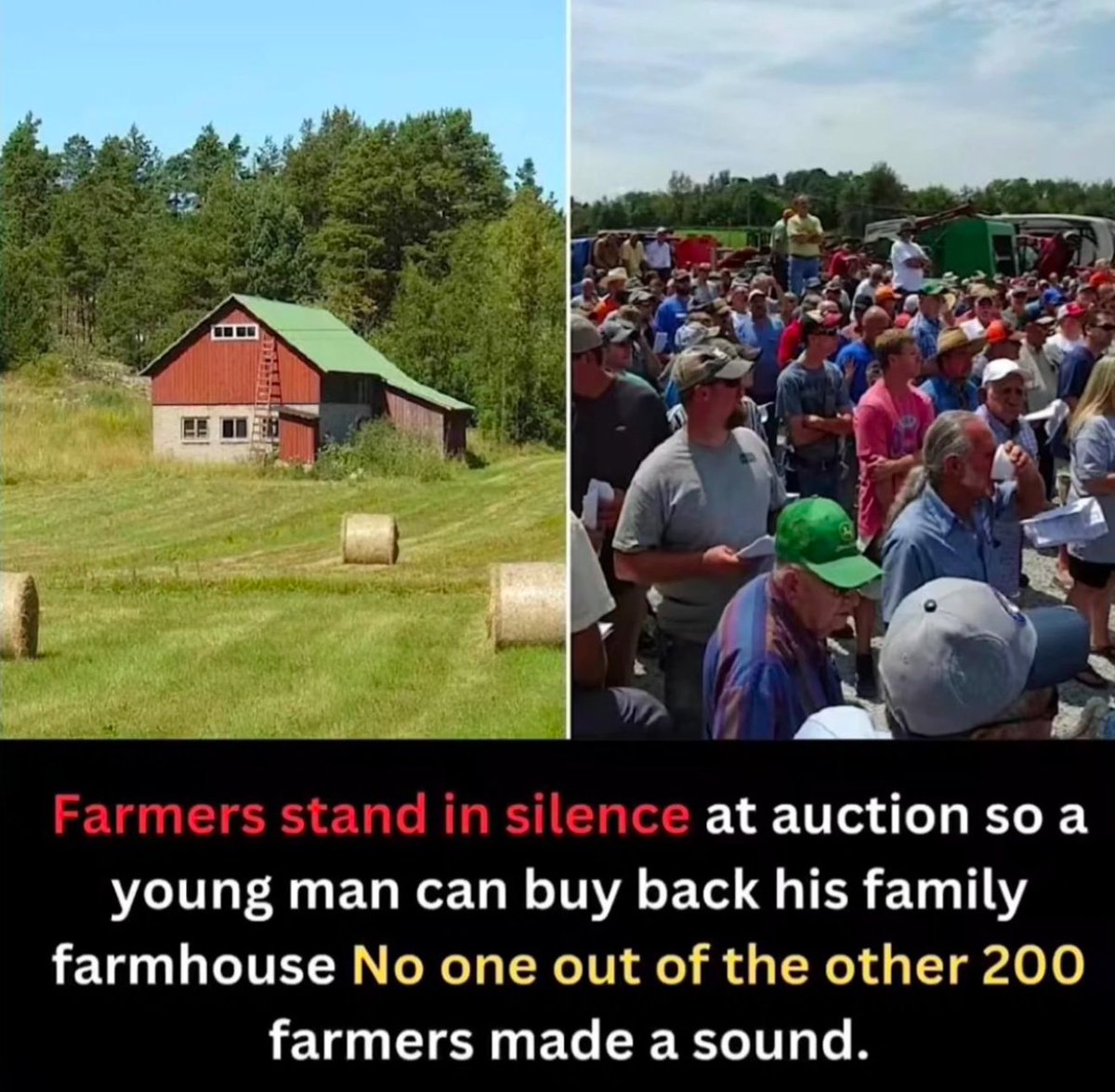 Faith in humanity restored 💚