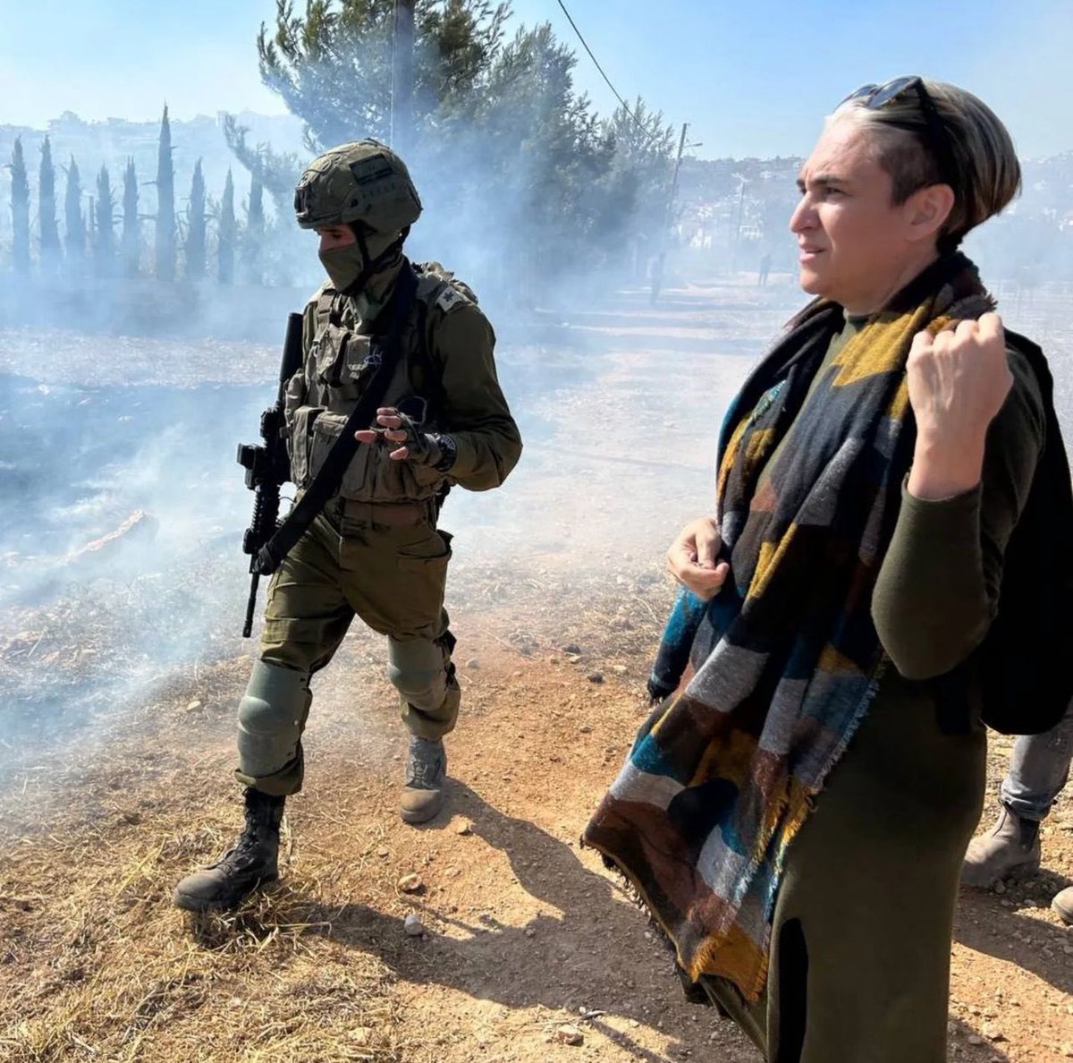 Ada Colau, former Mayor of Barcelona,  stands in front of the ocuppation forces as they attacked Palestinian farmers with tear gas today in Qusra, West Bank.

What a woman 👏🏽