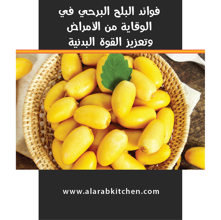 alarabkitchen's tweet photo. فوائد البلح البرحي في الوقاية من الأمراض وتعزيز القوة البدنية

يُعد البلح البرحي واحدًا من أبرز الفواكه التي تحمل فوائد صحية مذهلة،

رابط المقال

https://t.co/VN6Oe6wwBE

#فوائد  #فوائد_صحية #فوائد_التمر #فوائد_البلح #التمر #حلو_ولا_حادق_الاتنين_مطبخ_العرب https://t.co/V9dwBSNf0p