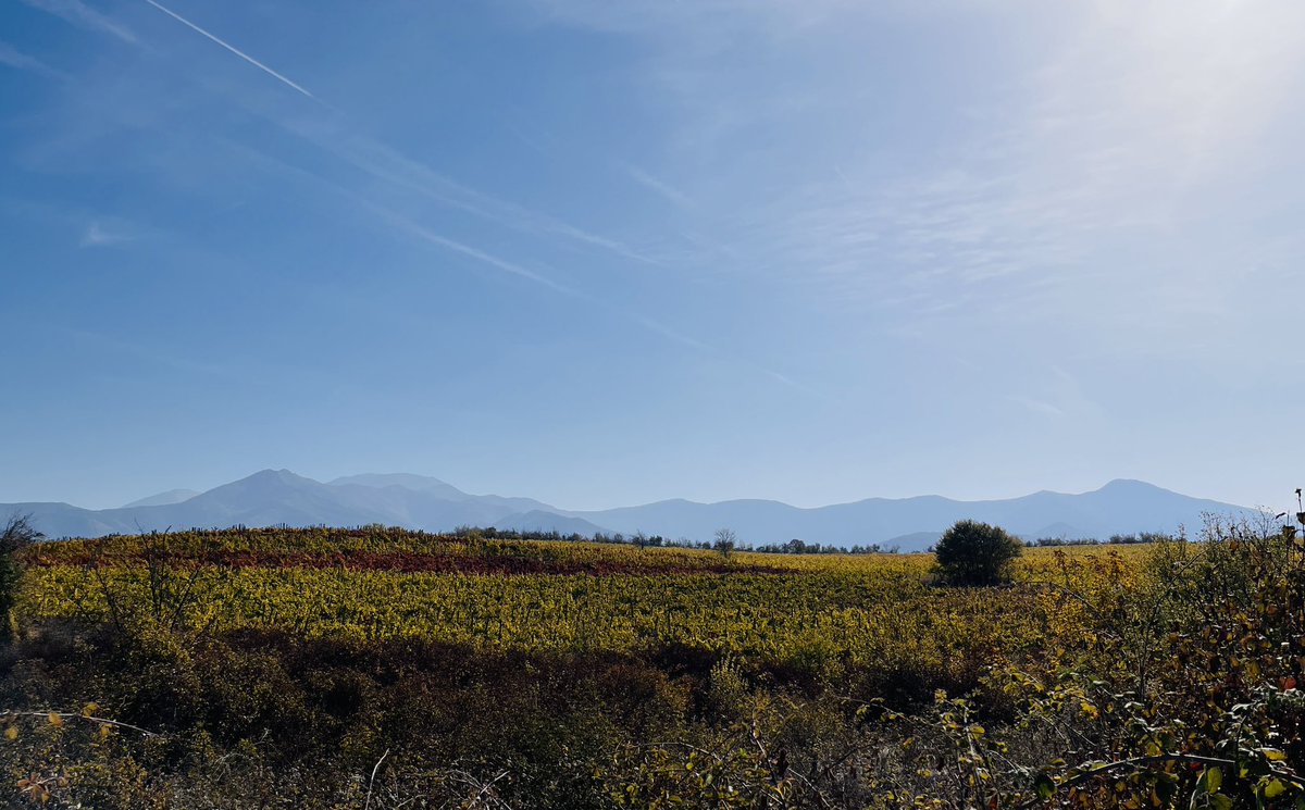 GutierrezElea's tweet photo. Sampling in Bulgaria this week! Superb landscapes and great archaeological material! #archaeology #postdoc https://t.co/V4AgoD97jA
