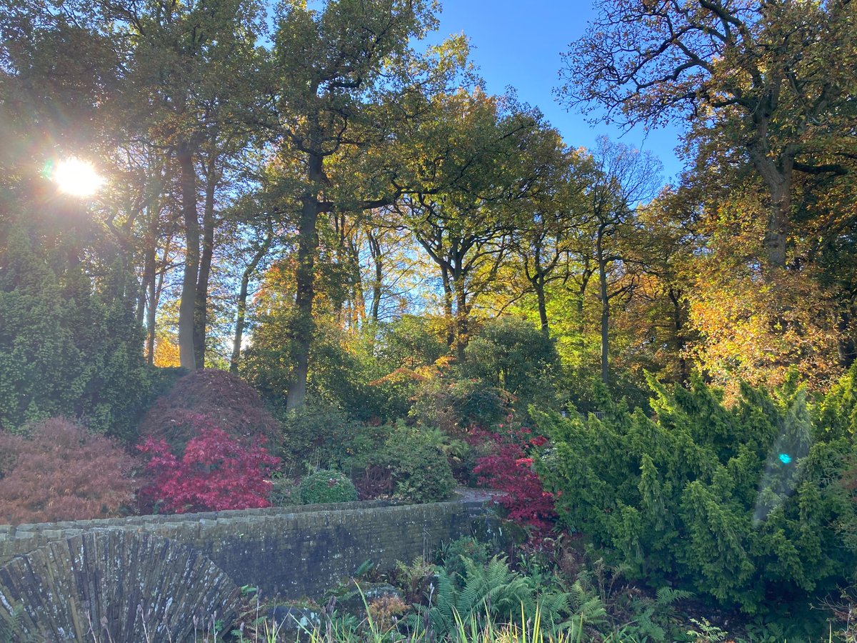 Gill Williams tweet media