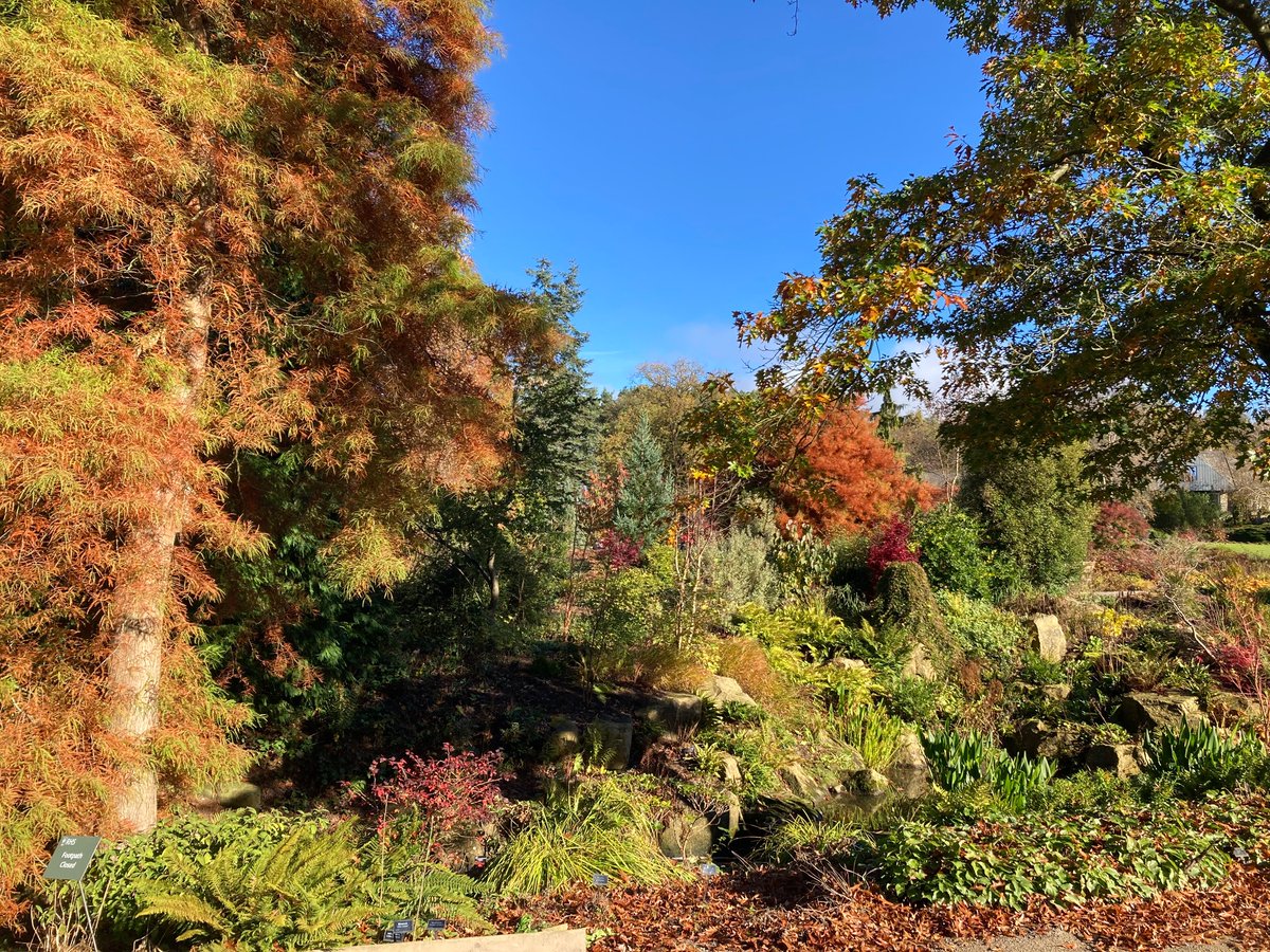 Gill Williams tweet media