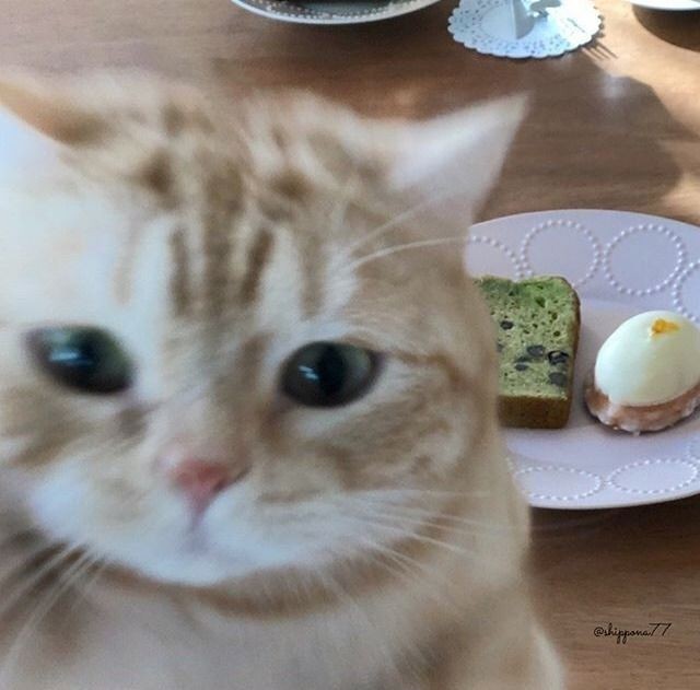 Snack selfie