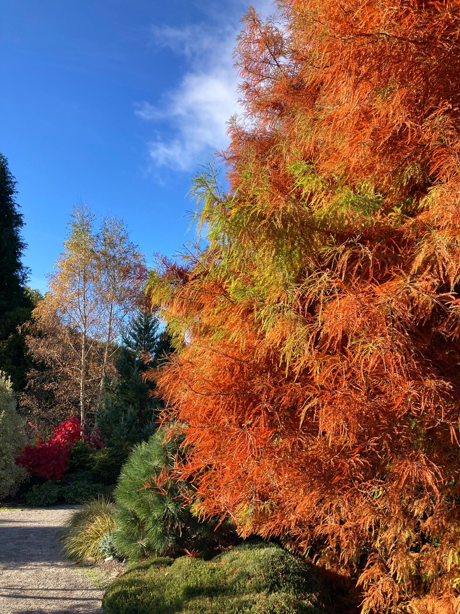 Gill Williams tweet media