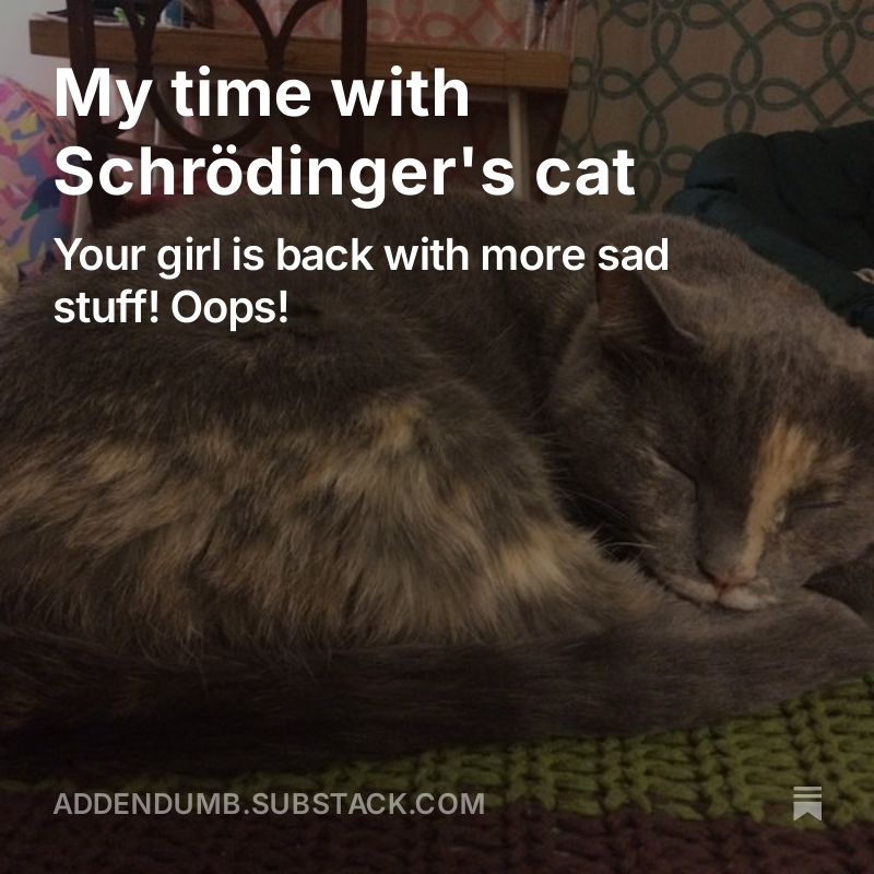My cat Molly died a little over a week ago. I wrote about her here: addendumb.substack.com/p/my-time-with…