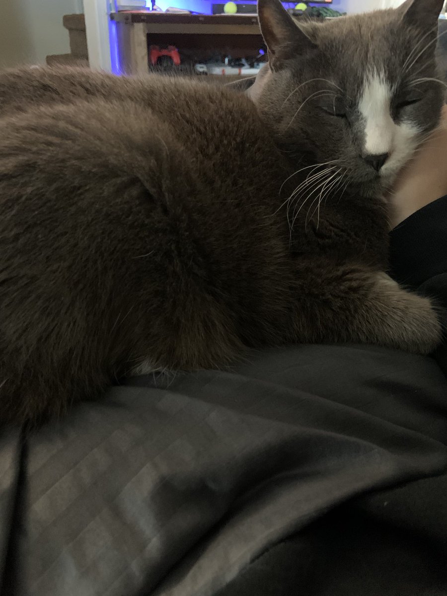 Katz Beeto tweet media