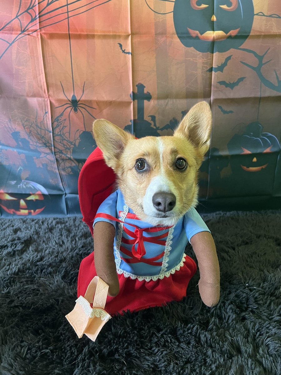 Cassbbtg's tweet photo. Riley kinda ate up her costume https://t.co/S8838c6TJb