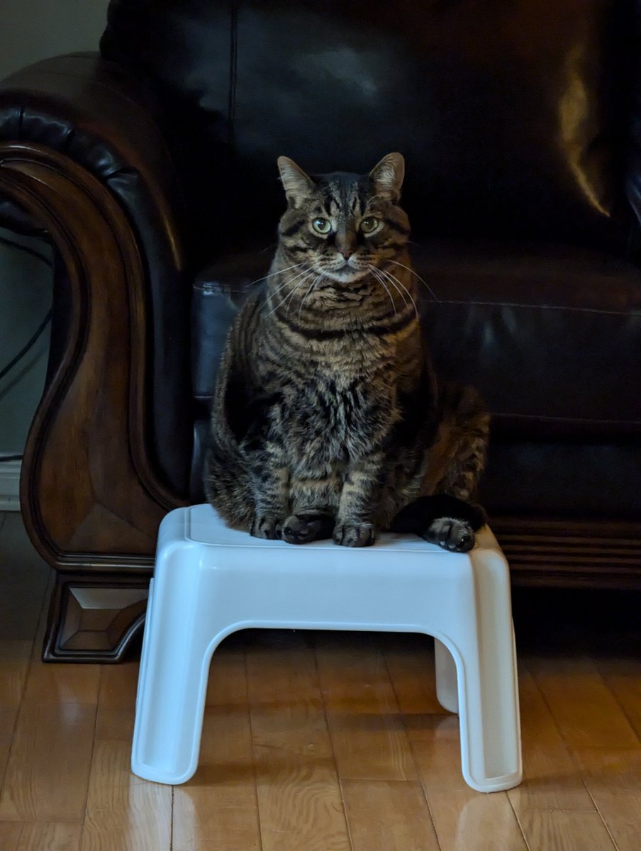 KeitherKeith's tweet photo. @lufflyLu That I'm smart! #Micker https://t.co/48fLbvmPmT