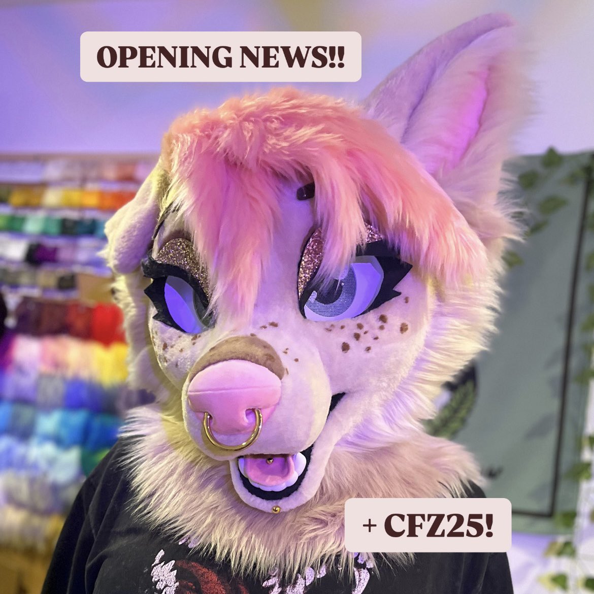 Small opening TOMORROW!! Plus other news!! 

More info here : t.me/+CszK5mzWgHcwM…