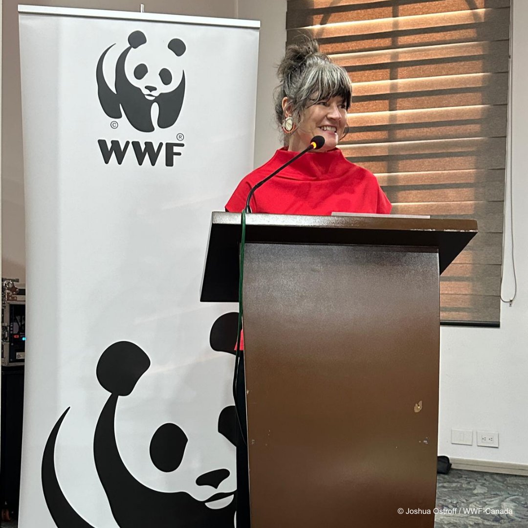 “Indigenous-led conservation is the most effective and equitable way to safeguard habitat, reverse wildlife loss and reduce climate change,” said <a href="/MeganALeslie/">Megan Leslie</a>, who moderated the panel.