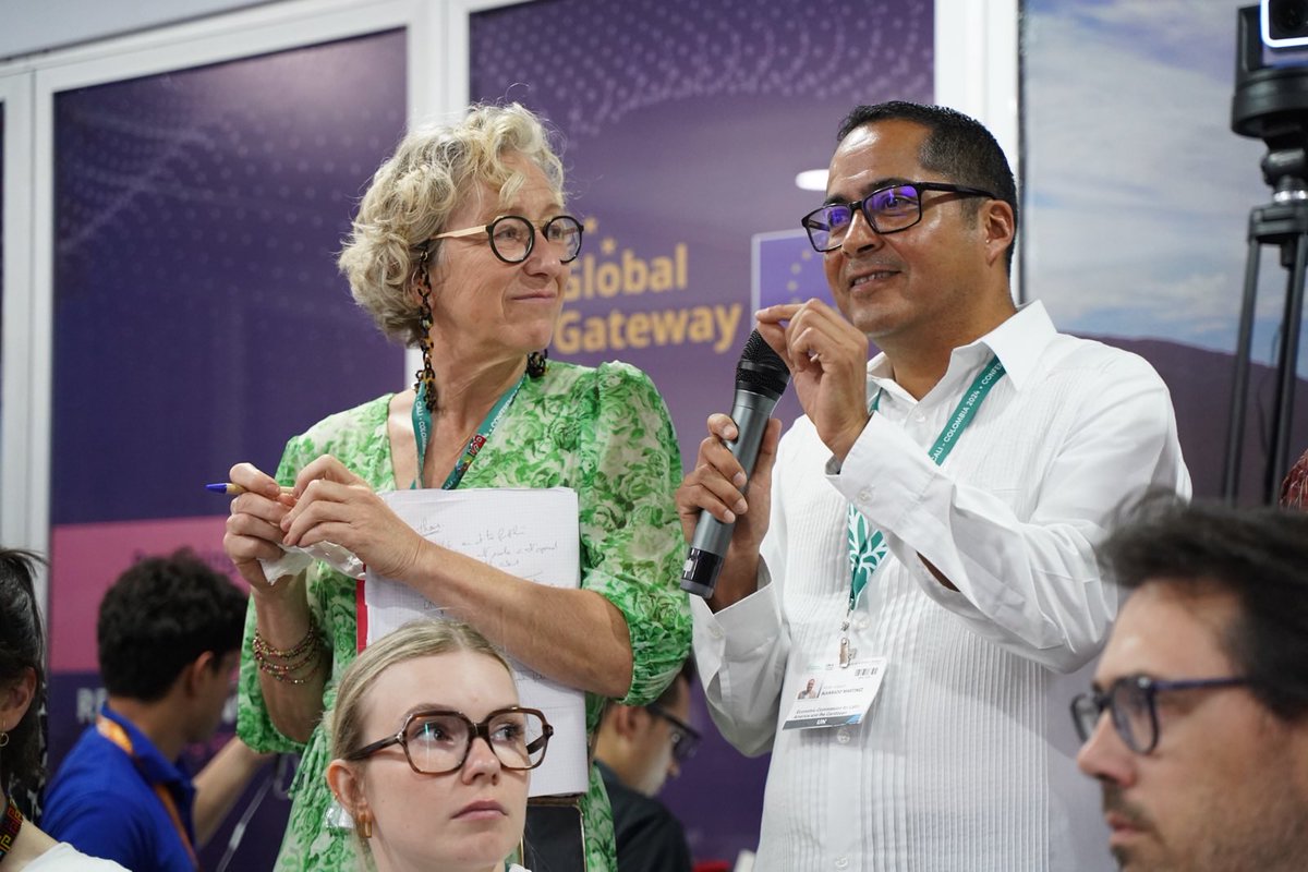 Post-2020 Biodiversity Framework . EU Support tweet media