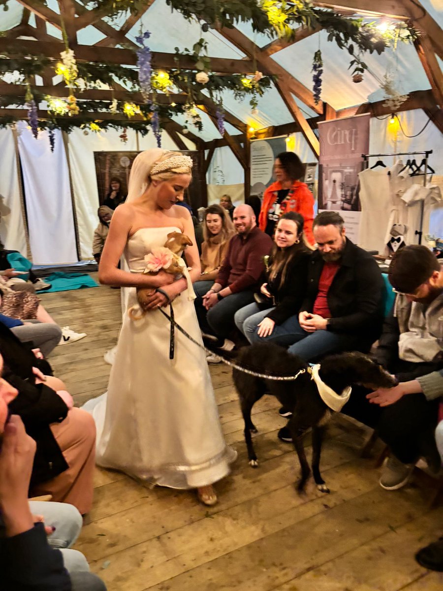 The Wicklow Escape tweet media