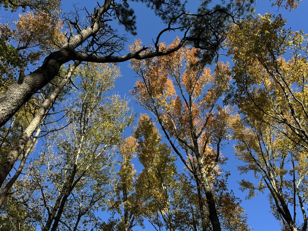 David C. Mills (@davidcmills) on Twitter photo 