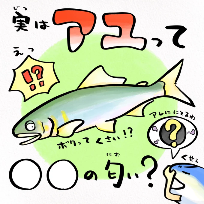 香りの記念日、アユはスイカの香りがする 