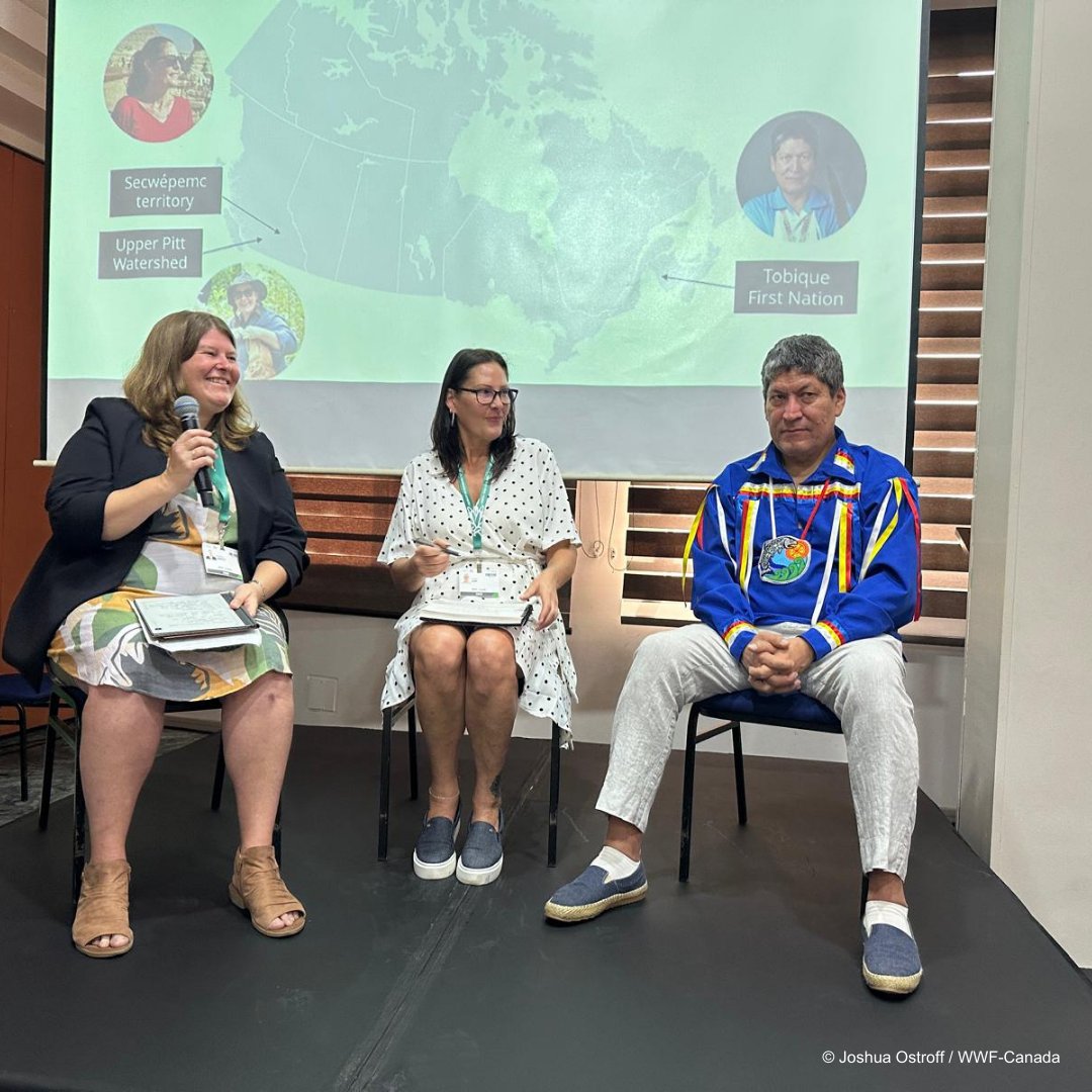 The panelists discussed stewardship and self-determination in resource management, resilience-boosting reforestation after climate-fuelled wildfires and how salmon habitat restoration supports biodiversity and culture.