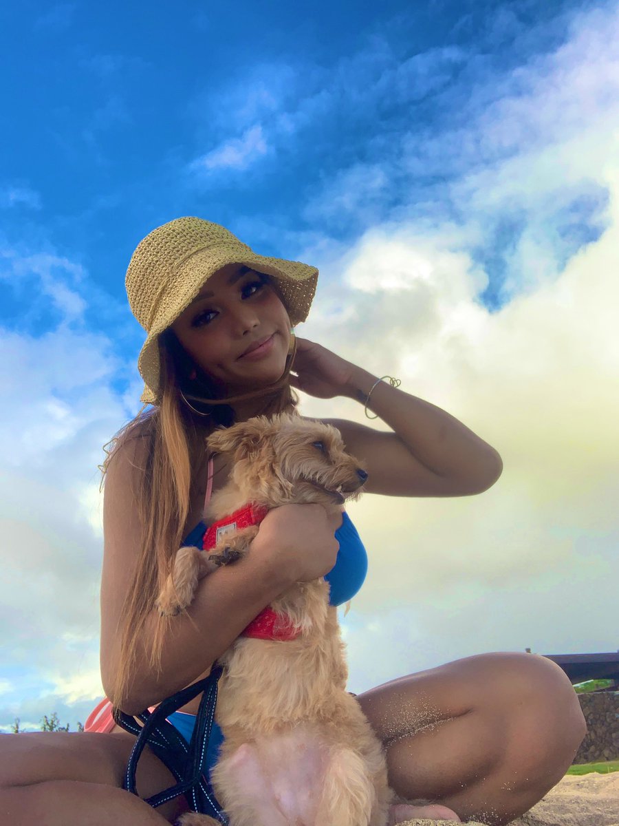 PSR Cece tweet media