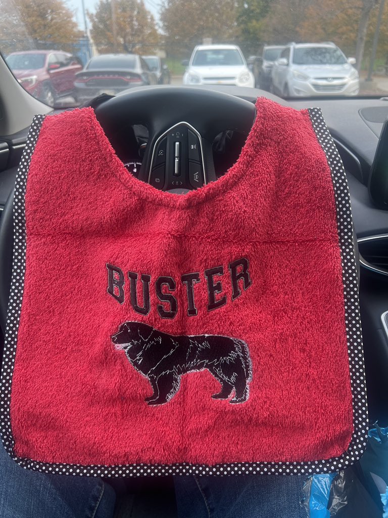 Buster072723's tweet photo. New swag! 🐾🐕‍🦺 https://t.co/PE1AHtrSl0