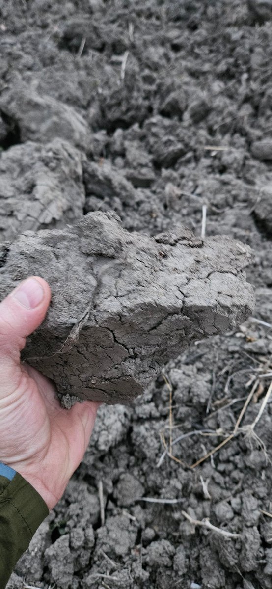 J'ai pas la même définition de ce que c'est un gros agrégat!!!