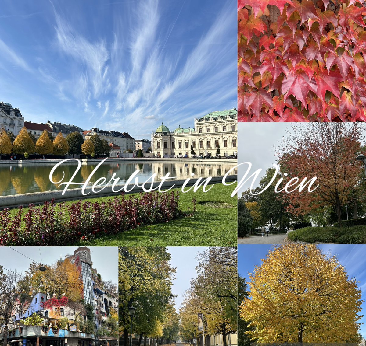 viennanavi's tweet photo. ウィーンの秋/Herbst in Wien 2024 https://t.co/c8Mk4mbv5I