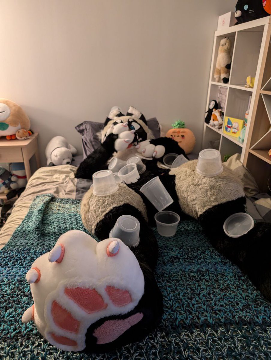 churro_jackal's tweet photo. Itβs #tupperwaretuesday π₯£ https://t.co/SDIqggyuGq