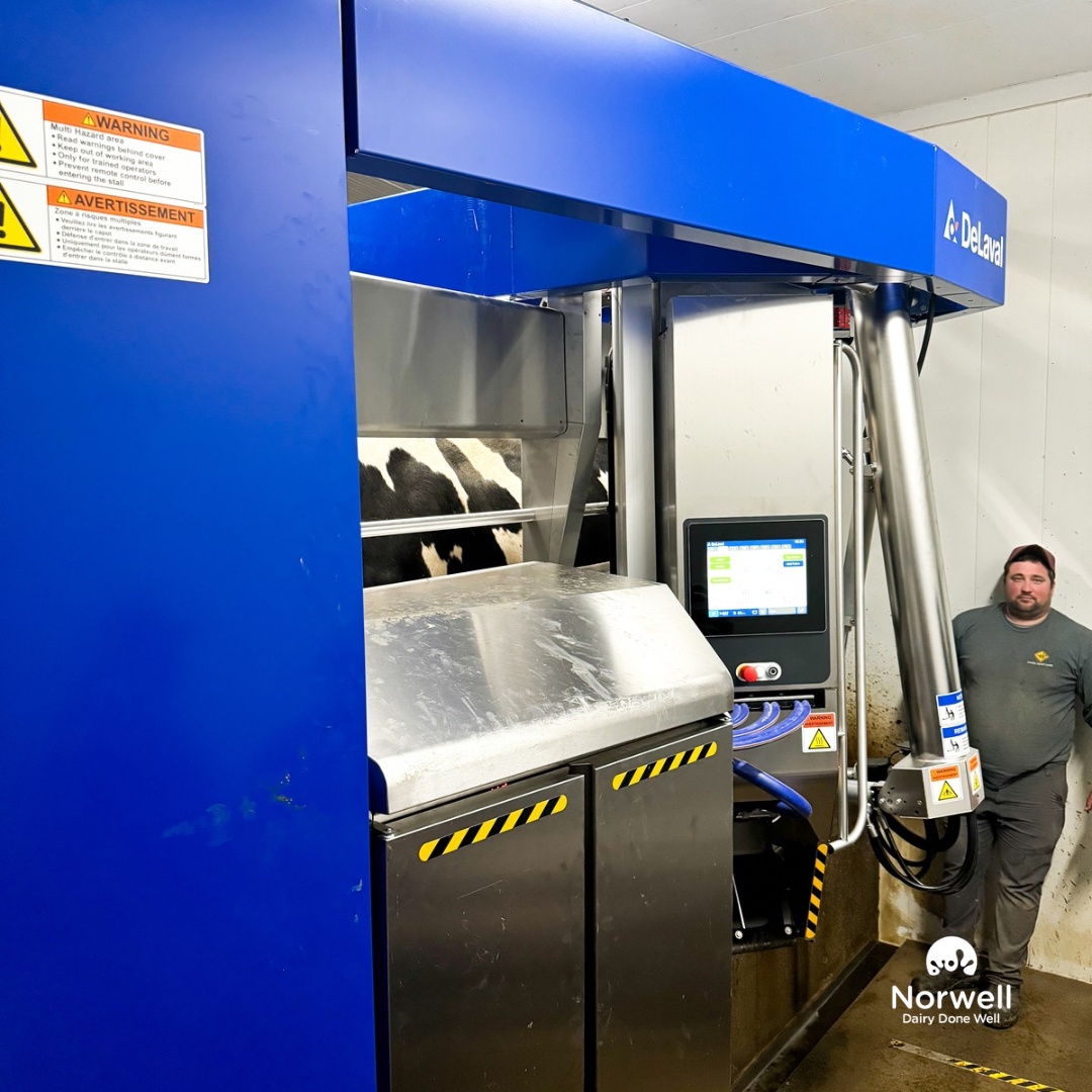 NorwellDairy's tweet image. Another robot swap in the books!! Today was a busy day at Meadowbloom Holsteins!  They have upgraded their @Delaval classic robot to a V300!   The new V300 is up and running and everyone is excited to see it going! 
#dairydonewell #robotupgrade #happycowshappyfarmer #teamblue💙