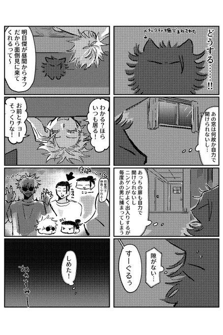 猫五夏97 黒猫視点 