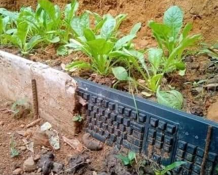 農業×ＩＴ（物理層）