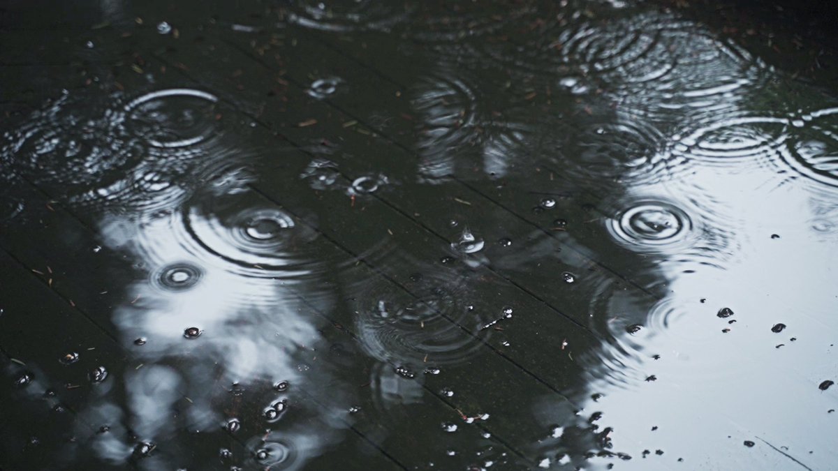 1Roomtokyo's tweet photo. 雨音と珈琲の朝。 https://t.co/tYycCJu0ta