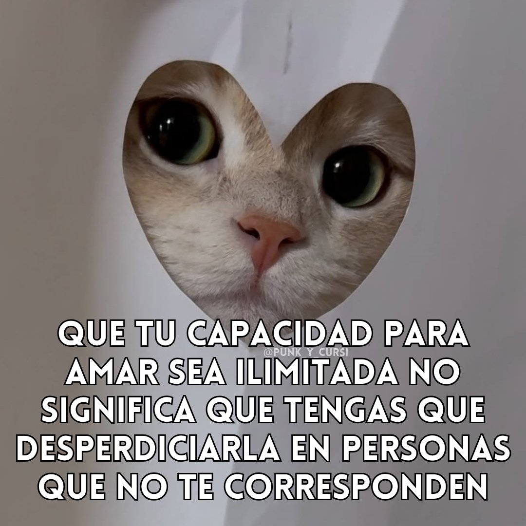 punk_y_cursi's tweet photo. 🫶🏻🫶🏻🫶🏻🫶🏻 https://t.co/Oa5zclNzcL