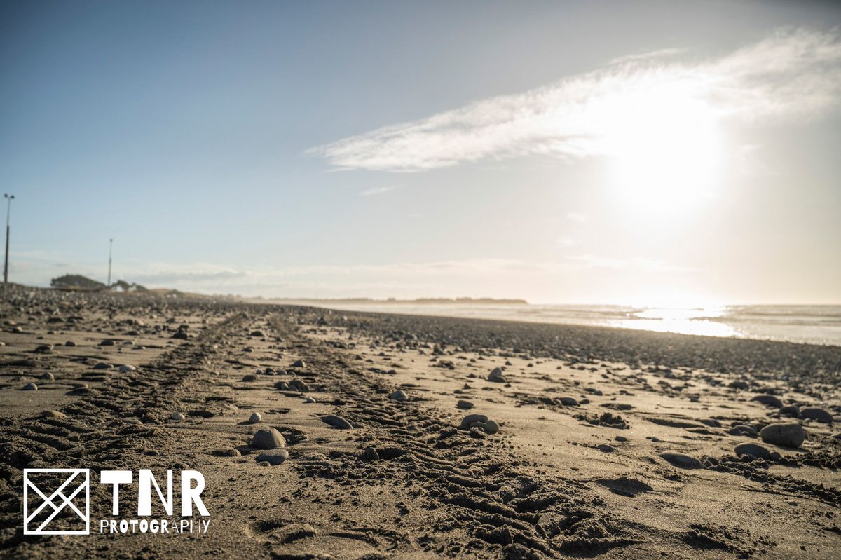 TNR_Protography's tweet photo. What are you most looking forward to in summer?

Me? Good weather, long nights and beach swimming! https://t.co/TFF7NBBPzp