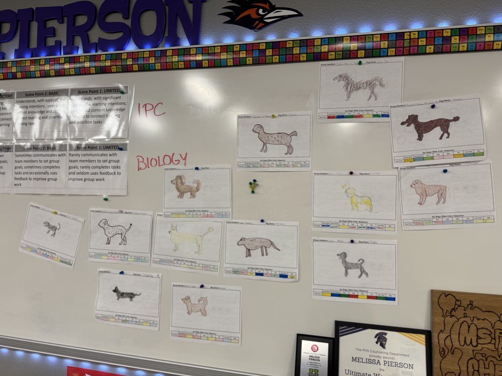 🧬 Biology students explored genetics by creating and decoding a "DNA recipe" for man's best friend! After pulling their DNA sequence at random, they drew their unique dogs and compared traits with classmates. What a fun way to see how DNA variations shape our traits! 🐶🐾