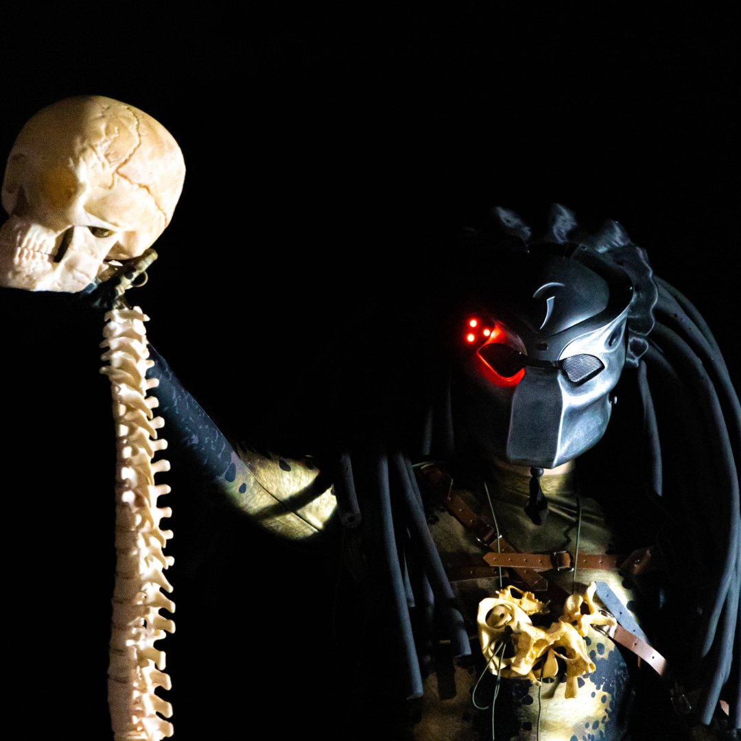 Harry Badger tweet media