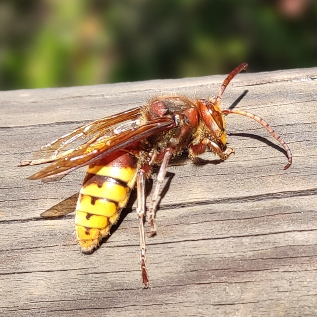 Los Villares

Parque Periurbano Los Villares
Caída ya la noche nos dirigimos al Parque Periurbano Los Villares en Córdoba para pasar la noche y amanecer en medio...

Leer más: turismocamper.es/los-villares/?… 

#Córdoba #LosVillares #Paque #Parqueperiurbano #SierradeCórdoba