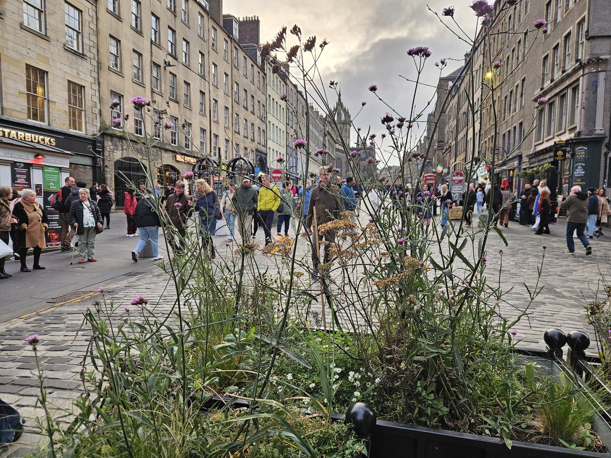 Exeter Streets for People tweet media
