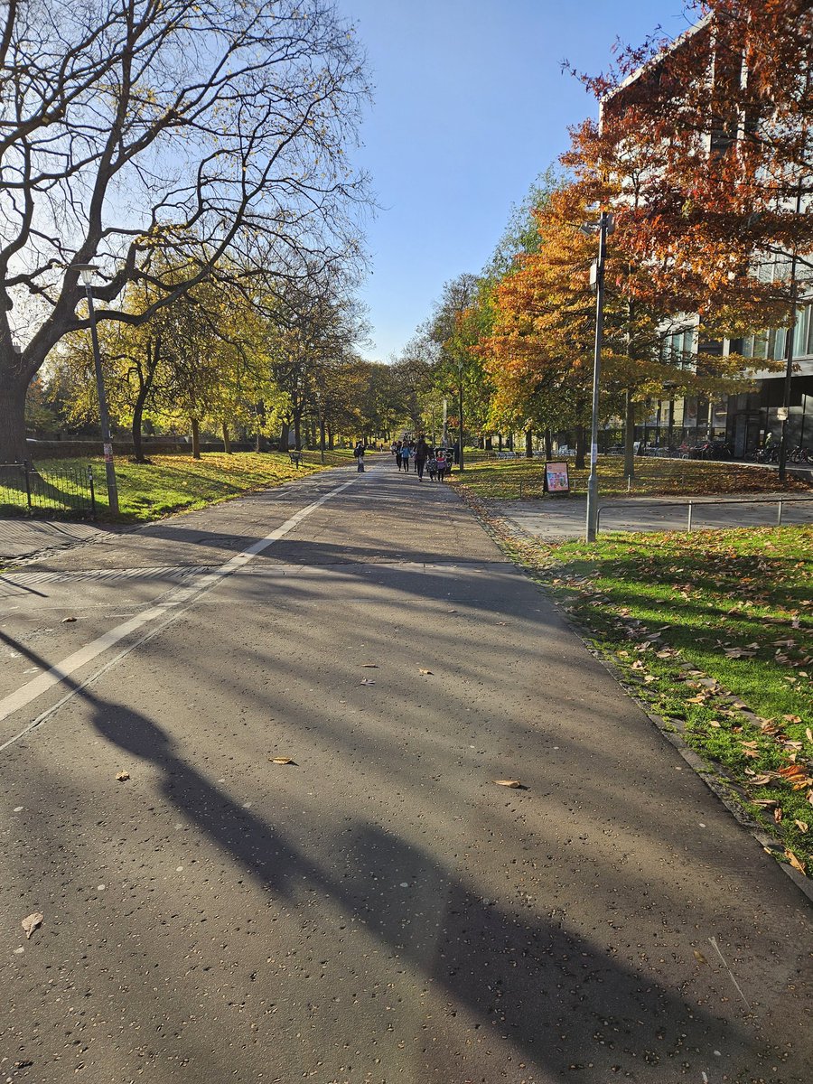 Exeter Streets for People tweet media