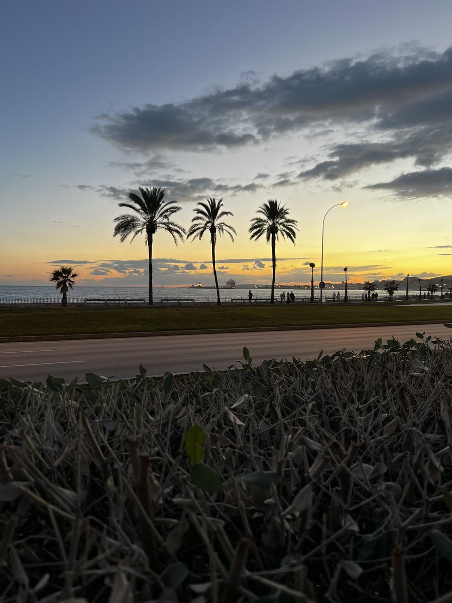 Un placer poder disfrutar del #Hemato2024 y muy agradecida a la <a href="/sehh_es/">@sehh_es</a> por permitirme presentar nuestro trabajo “Análisis simultáneo del fenotipo y genotipo de célula única al diagnóstico y en la recaída en leucemia mieloblástica aguda con mutación FLT3-ITD”.